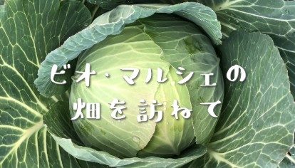 食材宅配サービス　愛知県
